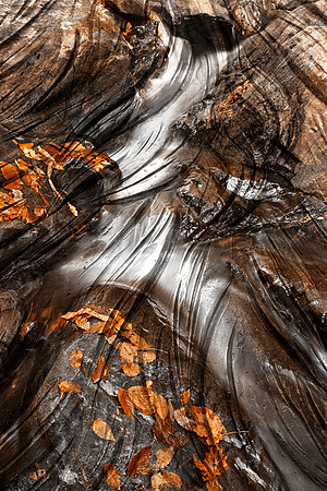 Sculpted Autumn Stream