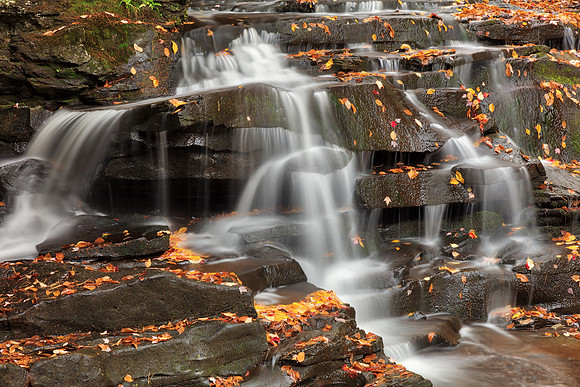 Autumn Garden Creek Cascades