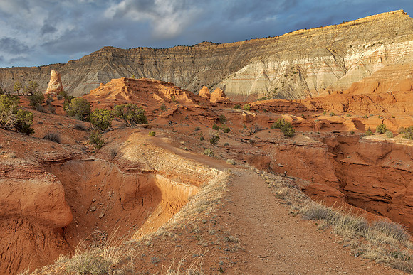 Golden Valkyrie Trail