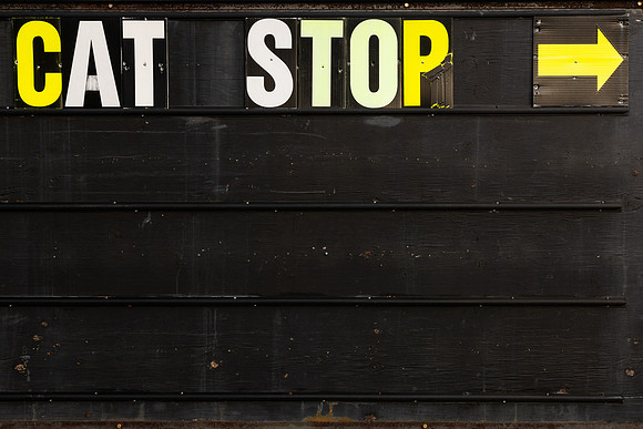 Cat Stop