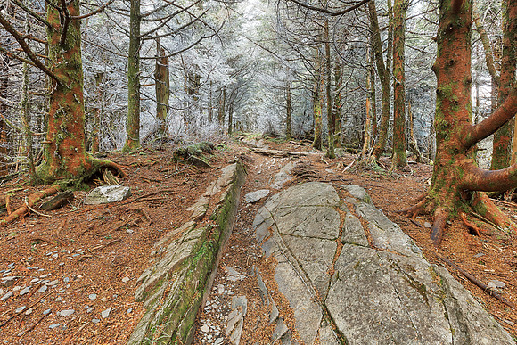 Appalachian Frost Trail