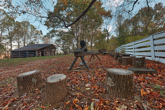 Johnson Farm Woods