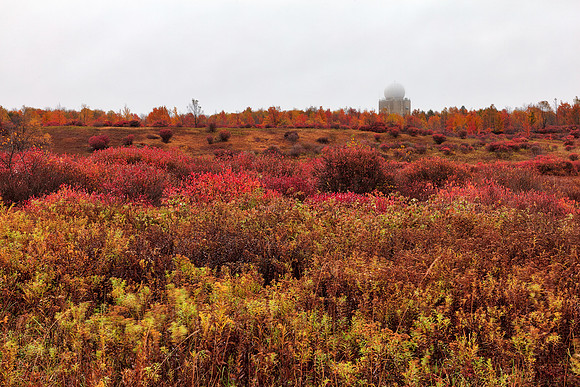 Autumn Tower Field