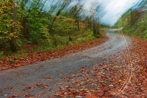 Happy Autumn Forest Accident