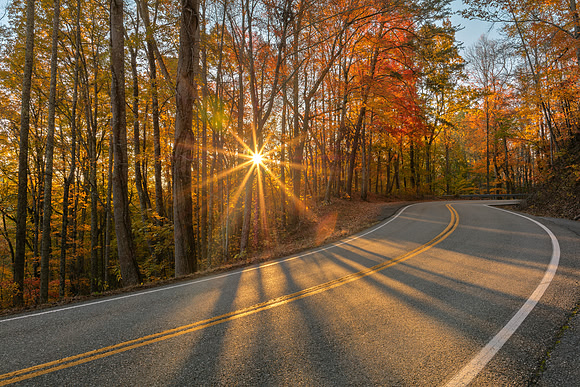 Autumn Sunburst Road - Tail of the Dragon