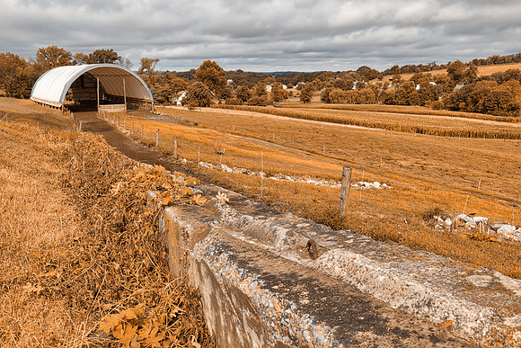 Orange Cream Farmland