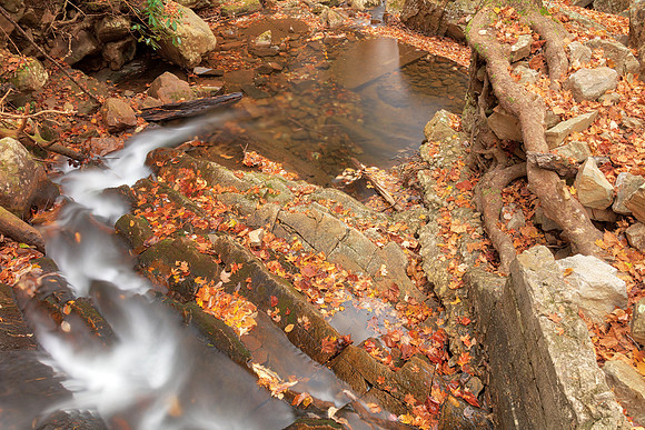 Autumn Gee Creek Bend