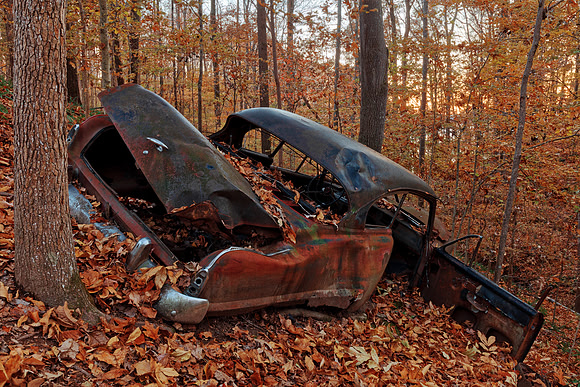 Autumn Forest Car Wreck