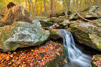 Apple Orchard Autumn Stream
