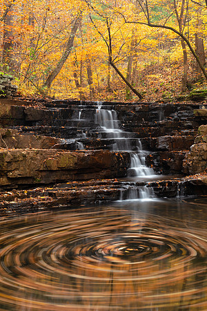 Fenwick Fall Swirls