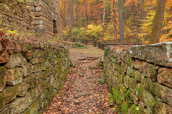 Autumn Furnace Walls - Roaring Run