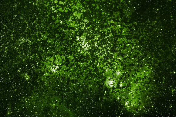 Green Lichen Space