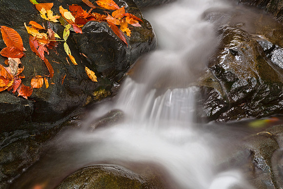 Glen Artney Stream