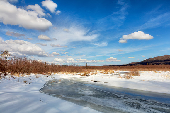 Blackwater Winter River