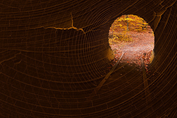 Revenge d'Automne