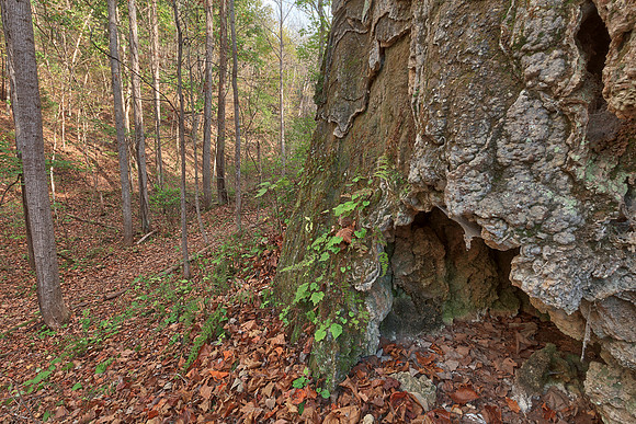 Falls Ridge Cave Trail