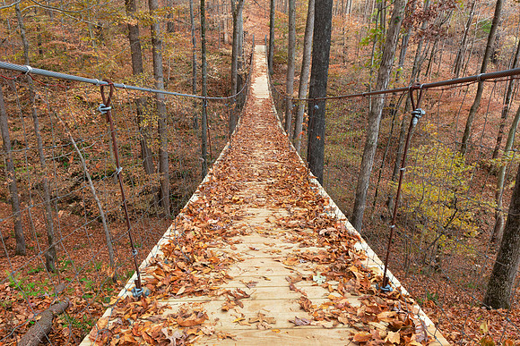 Autumn Suspension Bridge - Tims Ford