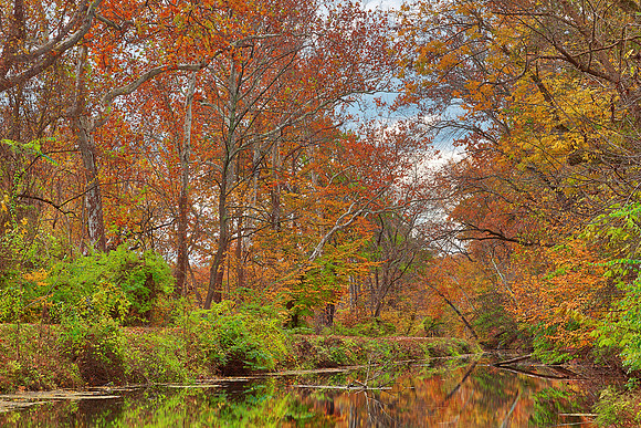 Autumn Canal - Swains Lock