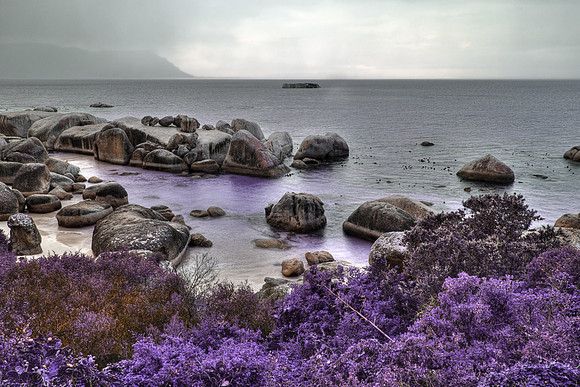 Boulders Lavender Beach