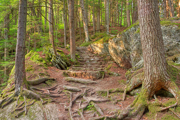 Green Mountain Forest Trail