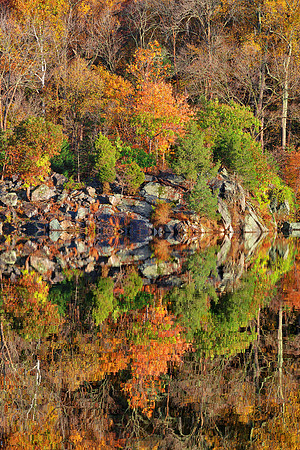 Autumn Canal Reflections