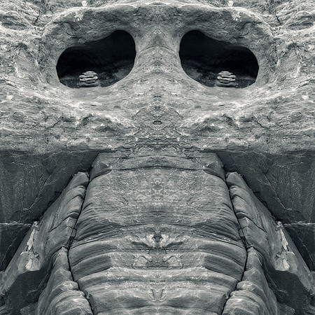Petrified Canyon Skull