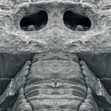 Petrified Canyon Skull