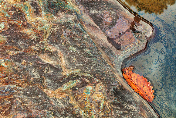 Autumn Clown Stone