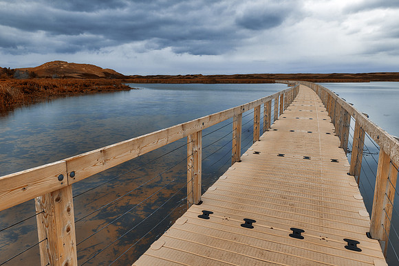 Bowley Pond Boardwalk Trail - Sepia Blues