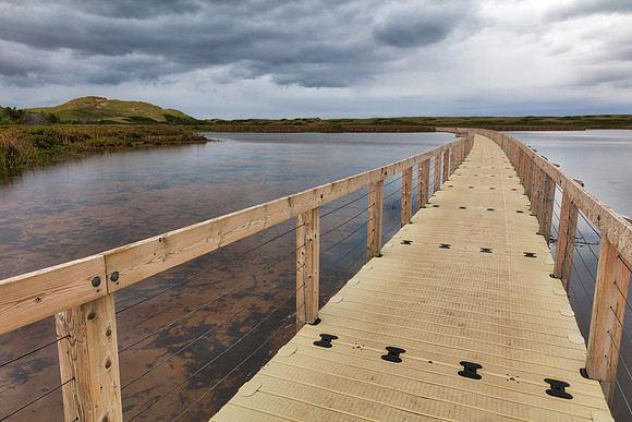 Bowley Pond Boardwalk Trail