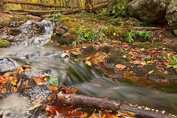 Dark Hollow Falls Stream