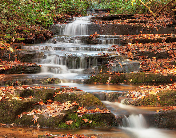 Panther Cub Falls