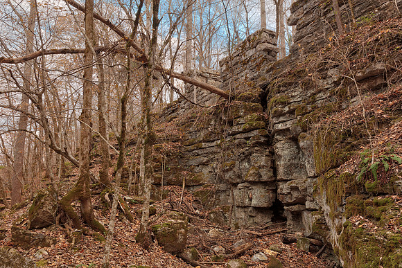 Old Tennessee Forest Ruins