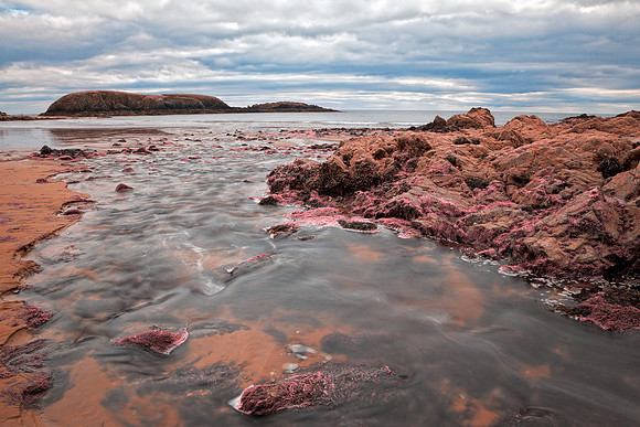Annestown Beach - Tickle Me Pink