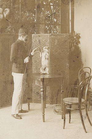 Faded Vintage Photo - Dog Training