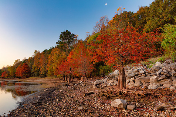 Autumn Twilight Cypress Bay