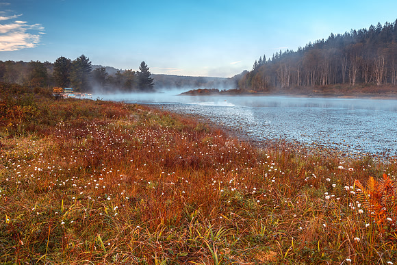 Pendleton Cotton Mist Lake
