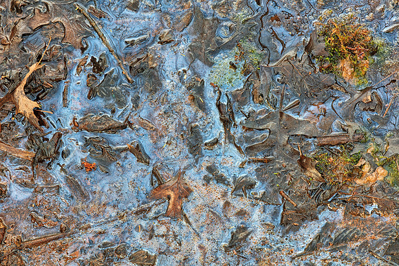 Marsh Soup