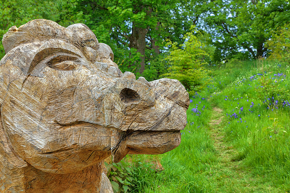 Balloch Wood Dragon