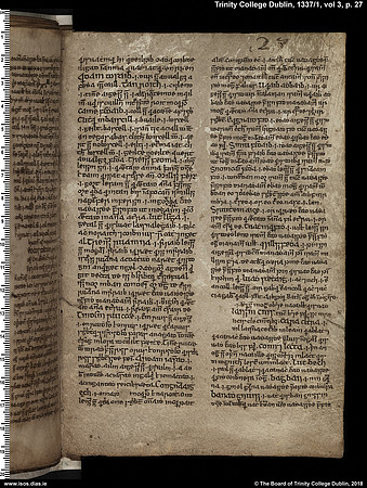 MS 1337 / Book of Ogams (page 27)