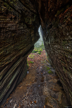 Weeping Rock Prophet
