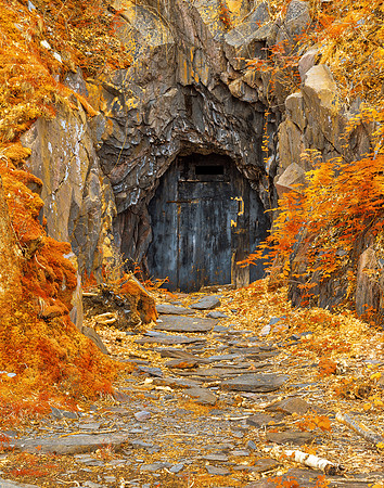 Forbidden Gold Mine