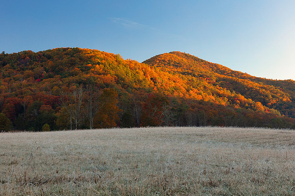 Golden Autumn Thaw - Cades Cove