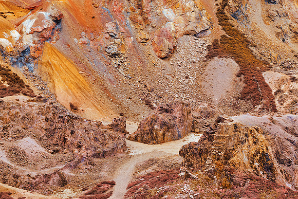 Candy Wasteland