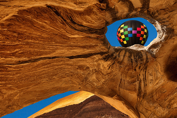 Wild Balloon Window