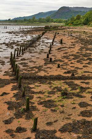 Dumbarton Beach Pylons