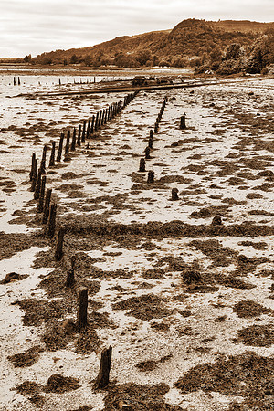 Dumbarton Beach Pylons - Sepia Nostalgia