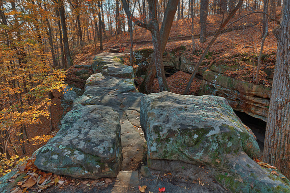 Autumn Sewanee Bridge Path