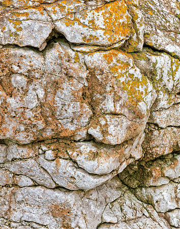 Penmon Rock Face