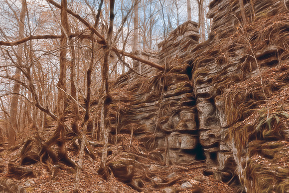 Dreamy Forest Ruins
